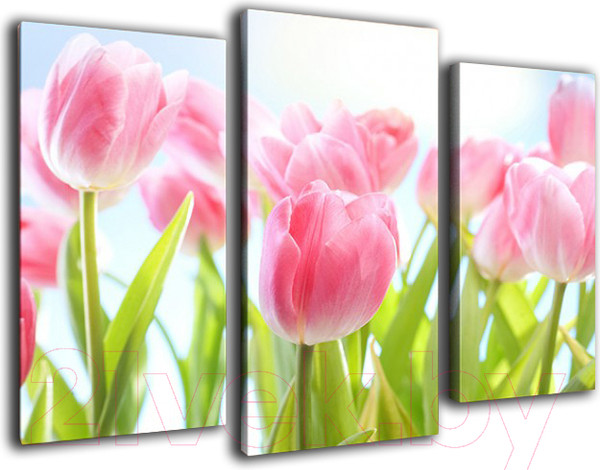 Изображение товара Картина модульная Arthata m-000581 (75x50)