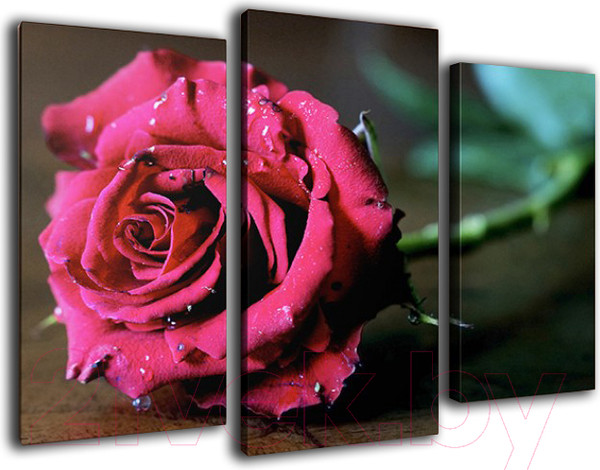 Изображение товара Картина модульная Arthata m-000582 (120x80)