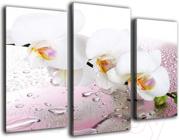 Изображение товара Картина модульная Arthata m-000584 (90x60)