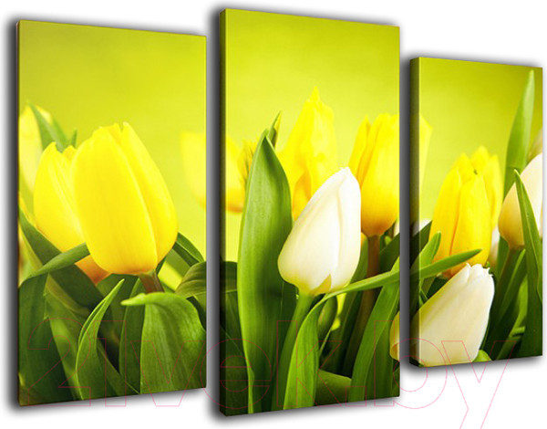 Изображение товара Картина модульная Arthata m-000586 (75x50)