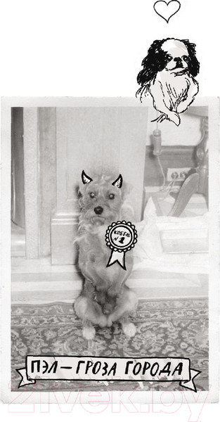 Изображение товара Книга МИФ Сердце из стекла. Откровения солистки Blondie (Харри Д.)