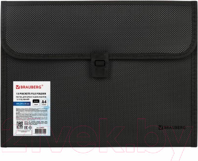 Изображение товара Папка для бумаг Brauberg Hit / 229572 (черный)