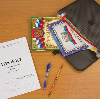 Изображение товара Папка для бумаг Brauberg Hit / 229572 (черный)