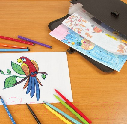 Изображение товара Папка для бумаг Brauberg Hit / 229572 (черный)