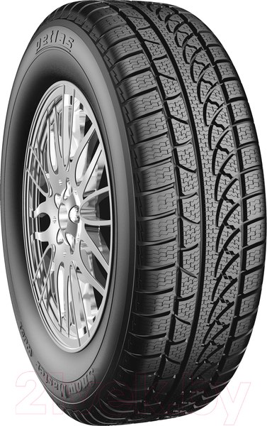 Изображение товара Зимняя шина Petlas Snowmaster W651 235/40R18 95V