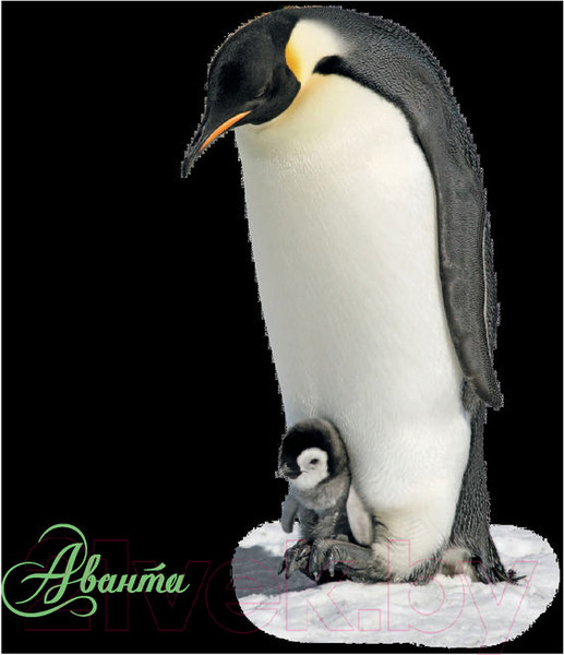 Изображение товара Энциклопедия АСТ Животные (Джонсон Дж.)