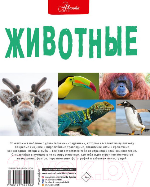 Изображение товара Энциклопедия АСТ Животные (Джонсон Дж.)