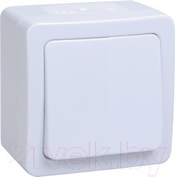 Изображение товара Выключатель IEK Гермес Plus EVMP10-K01-10-54-EC (белый)