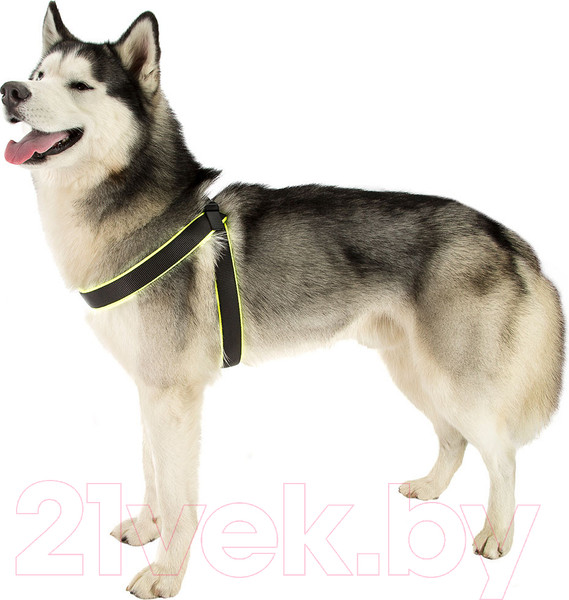 Изображение товара Шлея Ferplast Agila Ergofluo 7 (желтый)