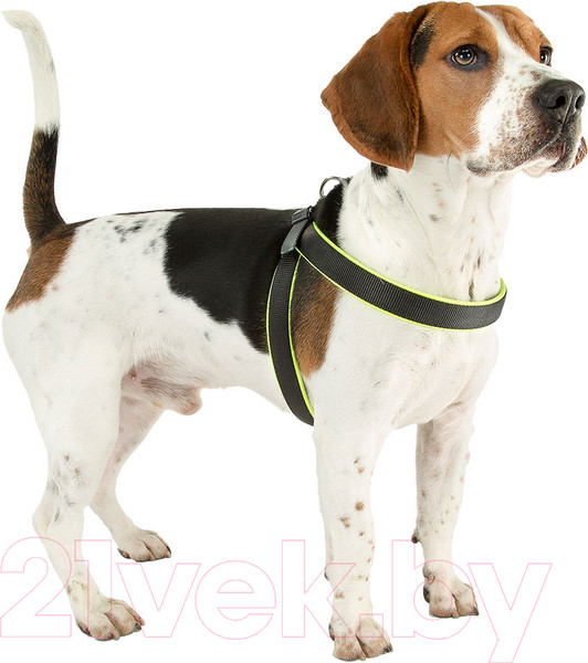 Изображение товара Шлея Ferplast Agila Ergofluo 8 (желтый)