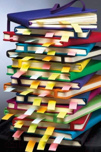 Изображение товара Записная книжка Easy Gifts Kiel / 312106 (80л, белый)