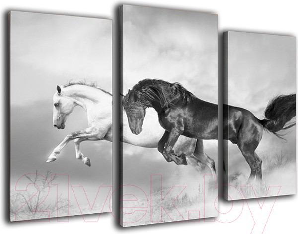 Изображение товара Картина модульная Arthata m-000594 (75x50)