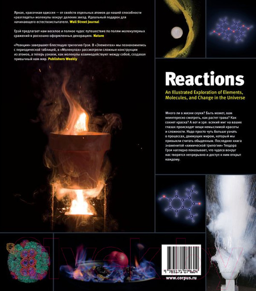 Изображение товара Книга АСТ Реакции (Грэй Теодор)