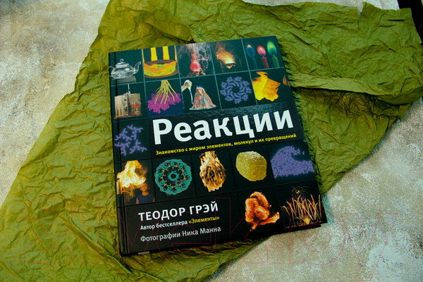 Изображение товара Книга АСТ Реакции (Грэй Теодор)