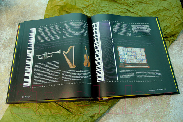 Изображение товара Книга АСТ Реакции (Грэй Теодор)