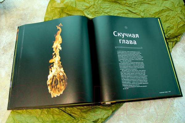 Изображение товара Книга АСТ Реакции (Грэй Теодор)