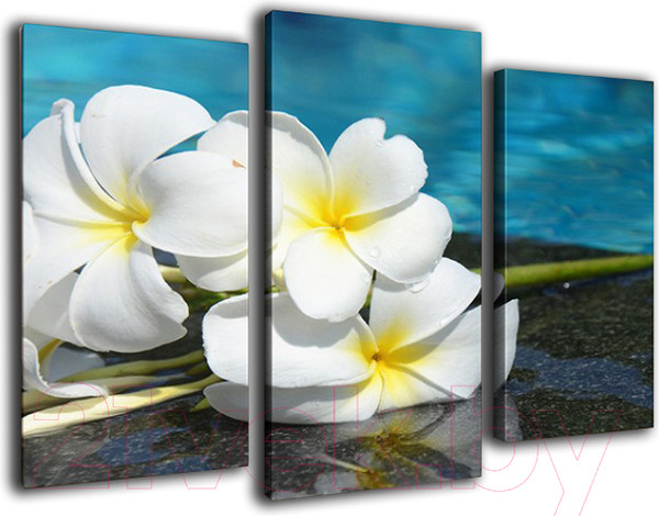 Изображение товара Картина модульная Arthata m-000616 (75x50)