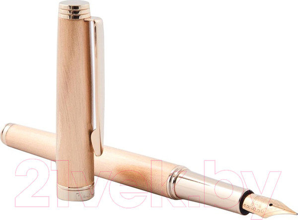 Изображение товара Ручка перьевая имиджевая Pierre Cardin Shine / PC2305FP