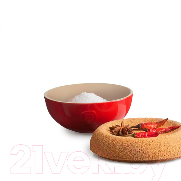 Изображение товара Солонка Emile Henry 348761 (гранат)