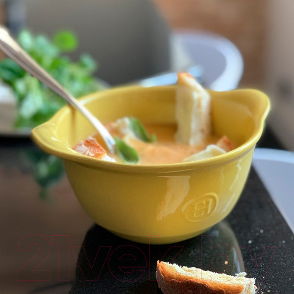 Изображение товара Кокотница Emile Henry 902149 (прованс)