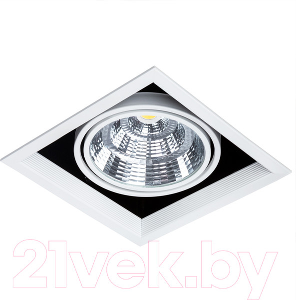 Изображение товара Точечный светильник Arte Lamp Merga A8450PL-1WH