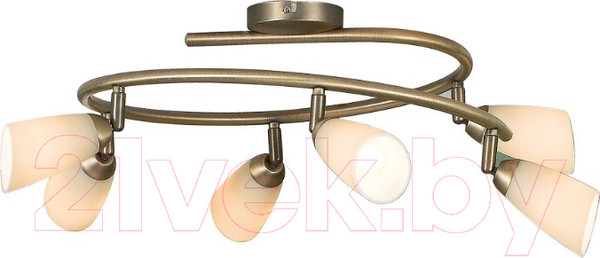 Изображение товара Спот Citilux Белла CL501163