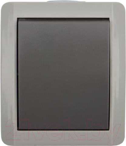 Изображение товара Выключатель Kranz Idustrial KR-78-0608 (серый)