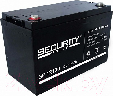 Изображение товара Аккумуляторная батарея Security Force SF 12100