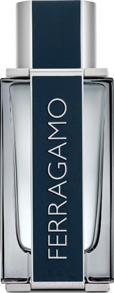 Изображение товара Туалетная вода Salvatore Ferragamo Ferragamo Pour Homme (100мл)
