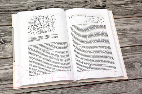 Изображение товара Книга АСТ Фейнмановские лекции по физике. Том 5 (Фейнман Р., Лейтон Р.)