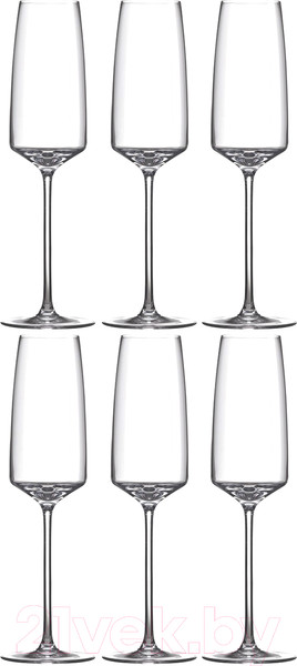 Изображение товара Набор бокалов Rona Vista 25 6839/250 (6шт)