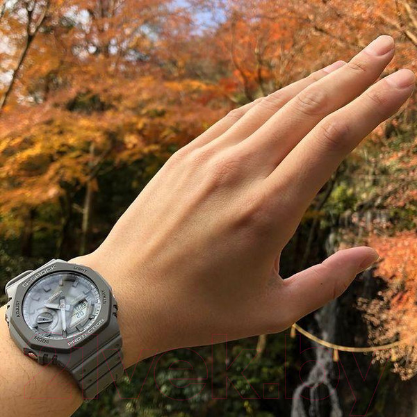 Изображение товара Часы наручные мужские Casio GA-2110ET-8A