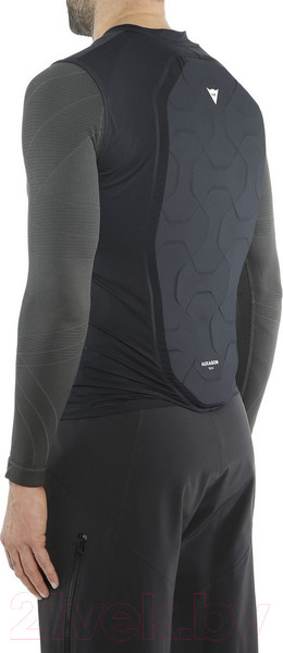 Изображение товара Защитный жилет горнолыжный Dainese Auxagon Vest / 4876018 (S)