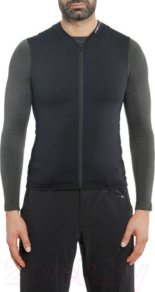Изображение товара Защитный жилет горнолыжный Dainese Auxagon Vest / 4876018 (M)