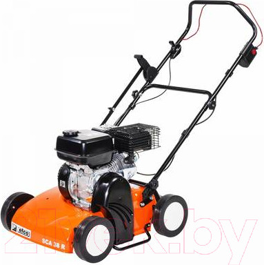 Изображение товара Аэратор-скарификатор для газона бензиновый Efco OM/EF SCA 38 R (1800792)