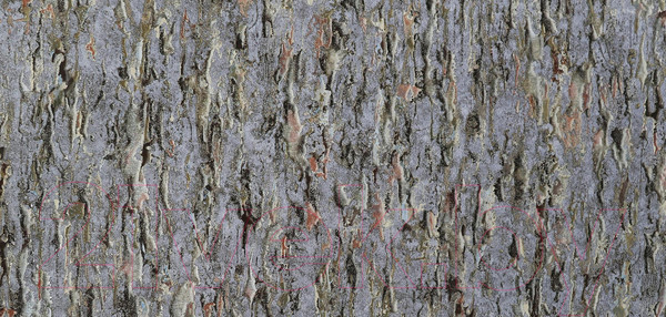 Изображение товара Флизелиновые обои Elysium Форма Е300106