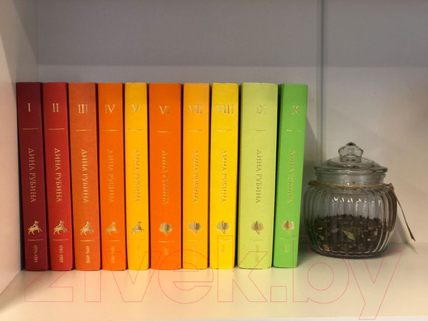 Изображение товара Книга Эксмо Дина Рубина. Собрание сочинений. I-XXI. Том IV (Рубина Д.)