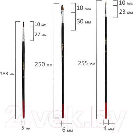 Изображение товара Набор кистей Пифагор 200505 (10шт)