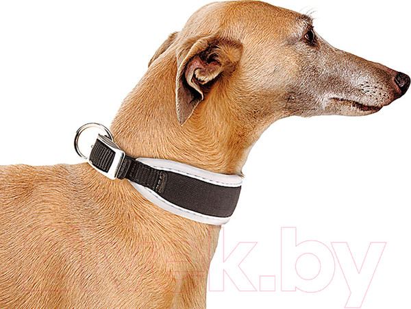 Изображение товара Ошейник Ferplast Ergocomfort CW20/39 (серый)