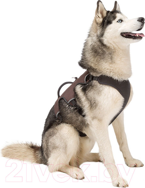 Изображение товара Шлея-жилетка для животных Ferplast Ergotrekking P (M, коричневый)