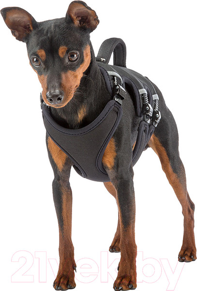 Изображение товара Шлея-жилетка для животных Ferplast Ergotrekking P (M, черный)