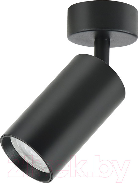 Изображение товара Спот Truenergy 35W 21331