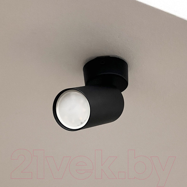 Изображение товара Спот Truenergy 35W 21331