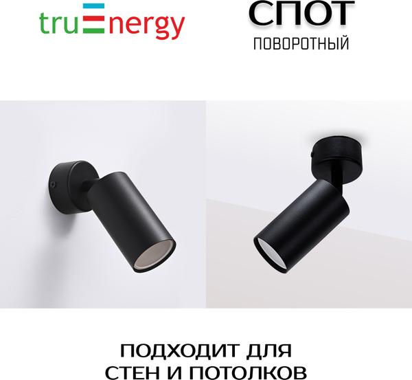 Изображение товара Спот Truenergy 35W 21331