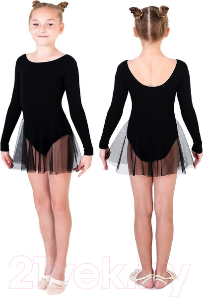 Изображение товара Купальник для художественной гимнастики Indigo Sport SM-222 (р. 38, черный)