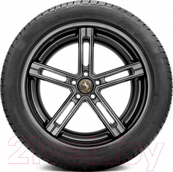Изображение товара Зимняя шина Continental ContiWinterContact TS 830 P 285/35R19 99V Porsche