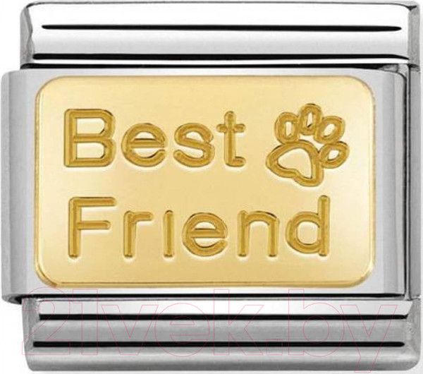 Изображение товара Звено для браслета NominatioN Лучший друг 030121/50