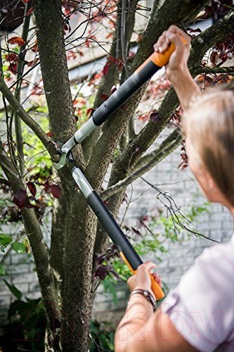 Изображение товара Сучкорез механический Fiskars 1013564