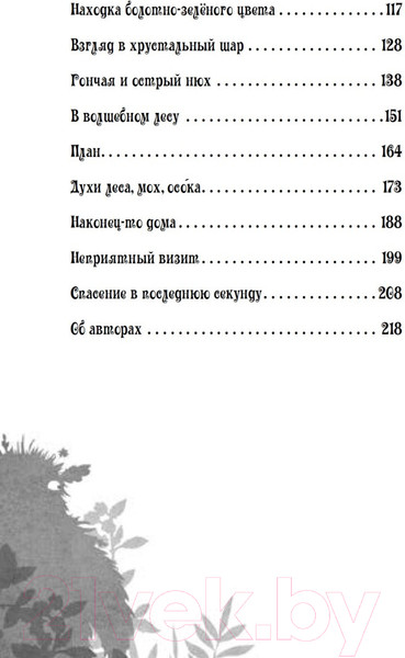 Изображение товара Художественная книга Питер Петронелла и волшебная книга (Штэдинг С.)