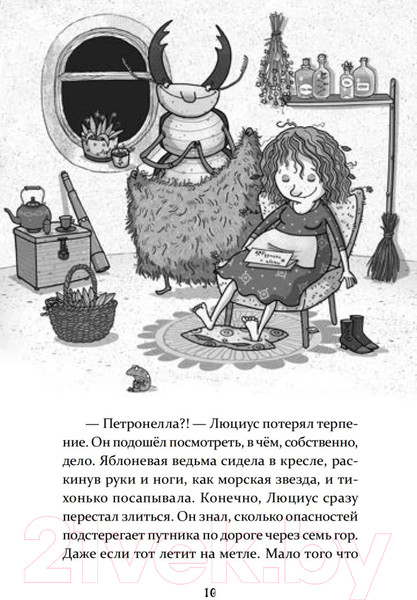 Изображение товара Книга Питер Петронелла и домик ведьмы (Штэдинг С.)
